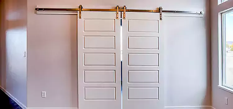 Glass Barn Door with Installation Hardware Kit East Meadow