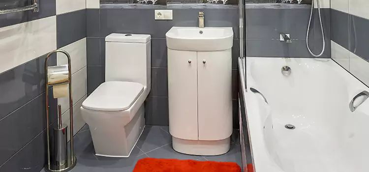 Hansgrohe Shaving Mirror East Meadow